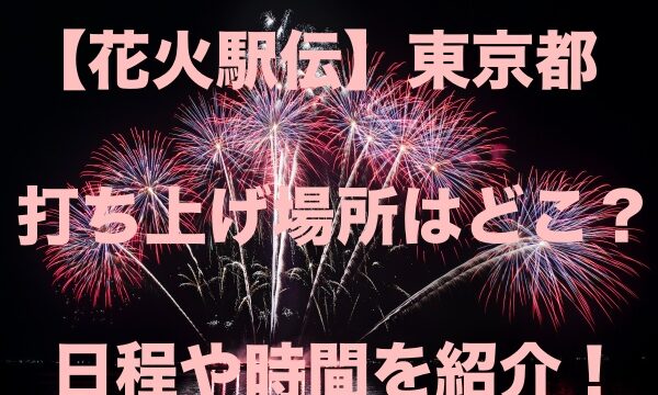 ドンキホーテ福袋22の中身ネタバレ 予約や口コミ評判も紹介 もちっとぷらす