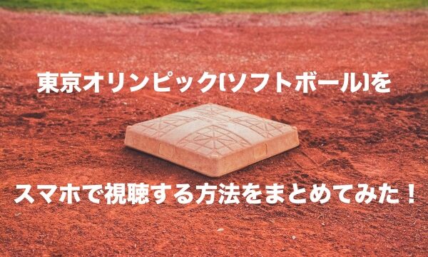 世界バレー観戦の服装や持ち物は カメラの撮影マナーも紹介 もちっとぷらす