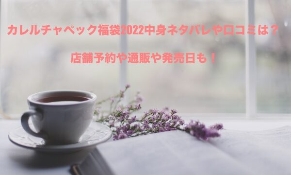 観光に行く ペレット メディア エージー プラス 福袋 ネタバレ Tienda Jp