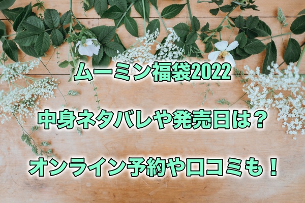 ムーミン福袋22の中身ネタバレや発売日は オンライン予約や口コミも もちっとぷらす