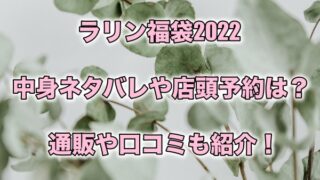 エージープラス福袋22夏の中身ネタバレ 予約や口コミなどを紹介 もちっとぷらす
